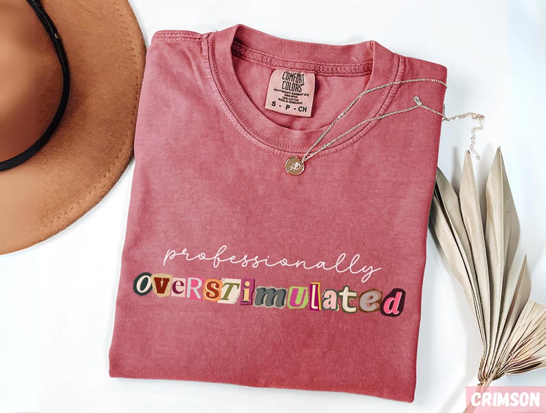 Professionally Overstimulated teacher shirt