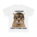 I Survived Todays Tummy Ache Cat Shirt - Gildan Unisex Tee